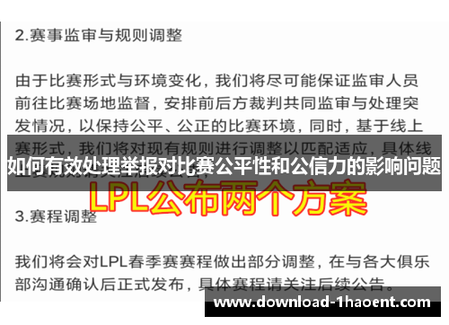 如何有效处理举报对比赛公平性和公信力的影响问题