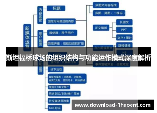 斯坦福桥球场的组织结构与功能运作模式深度解析