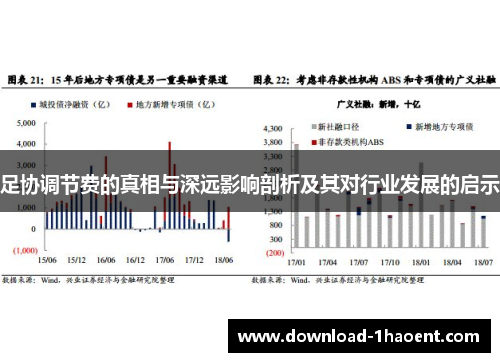 足协调节费的真相与深远影响剖析及其对行业发展的启示