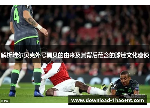 解析维尔贝克外号黑贝的由来及其背后蕴含的球迷文化趣谈